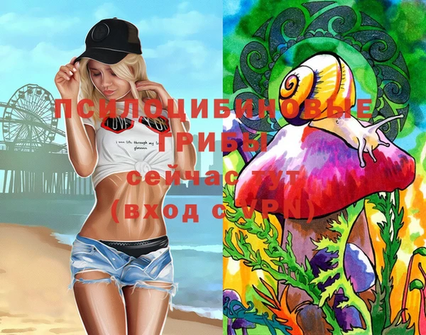 mdpv Протвино
