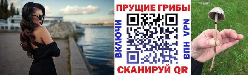 Галлюциногенные грибы Psilocybine cubensis  где продают наркотики  Сольцы 